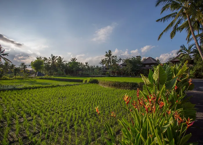 Alpin And Resort Ubud